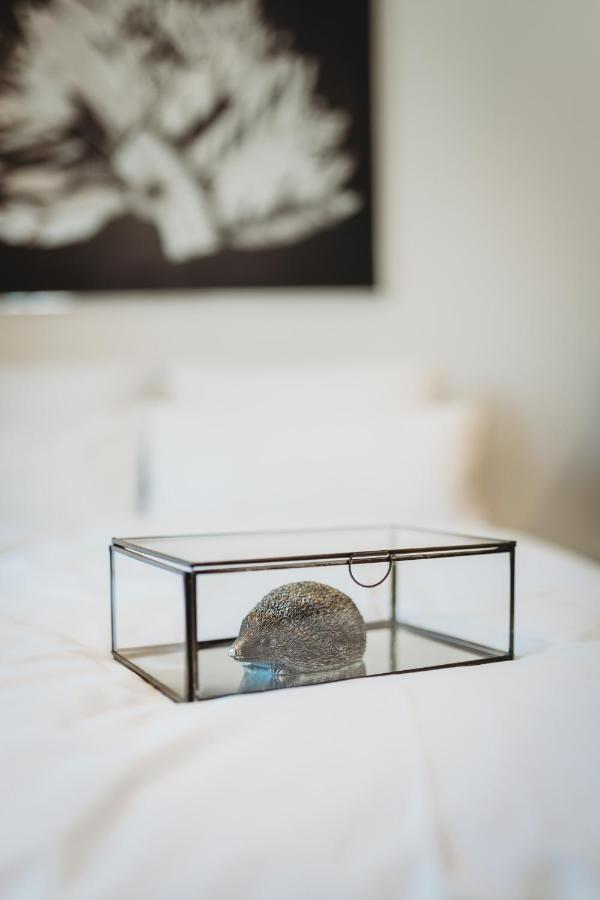 Romantic Jump Studio Overlooking River, Free Parking Ljubljana Exterior photo